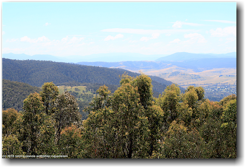 blick von der great alpine road richtung mount kosciuszko
