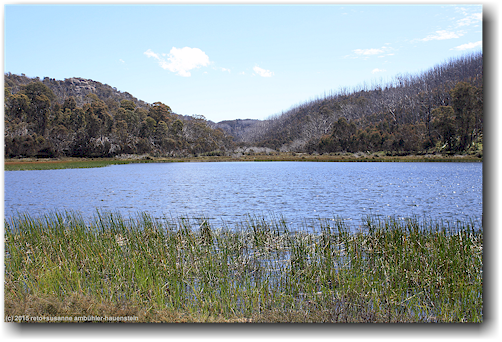 lake catani im mount buffalo national park