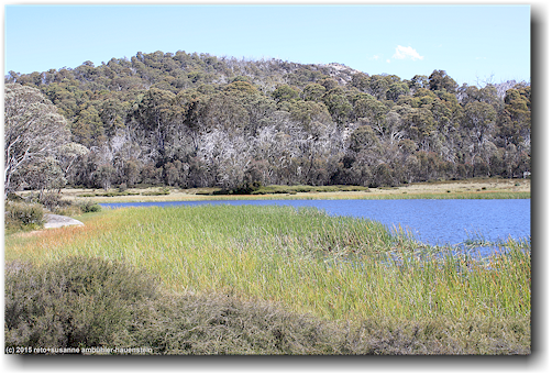 lake catani im mount buffalo national park