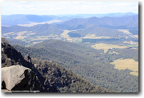 blick von "the chalet mount buffalo" in den mount buffalo national park