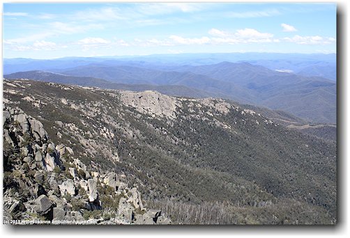 blick in den mount buffalo national park vom aussichtspunkt am fuss von "the horn"