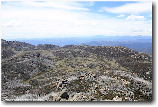 blick von "the horn" in den mount buffalo national park