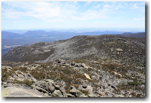 blick von "the horn" in den mount buffalo national park
