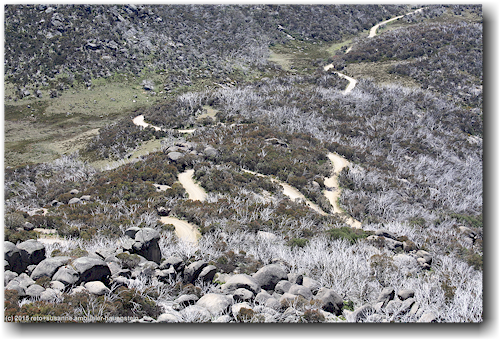 zufahrtsstrasse zum parkplatz am fuss von "the horn" im mount buffalo national park