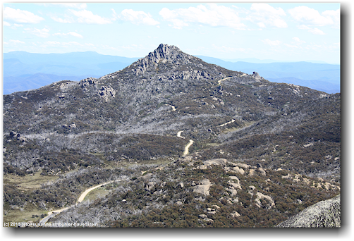blick von "the hump" auf "the horn" im mount buffalo national park