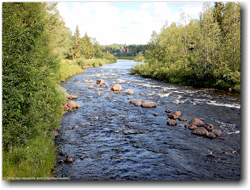 vassaratraesket bei gaellivare