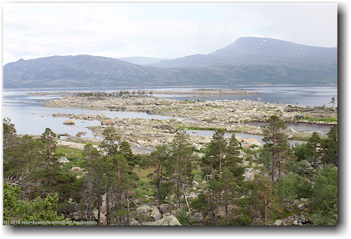 steinige inseln im alemusjaure beim stora sjoefallets nationalpark
