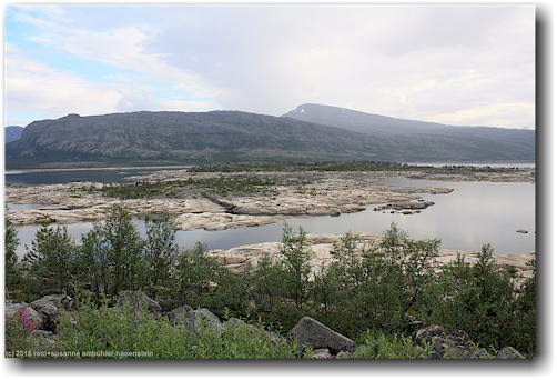 steinige inseln im alemusjaure beim stora sjoefallets nationalpark
