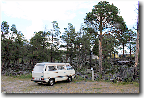unser joker auf dem campingplatz im stora sjoefallets nationalpark