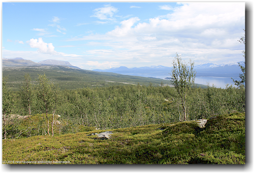blick auf den alemusjaure vom wanderweg bei ritsem im stora sjoefallets nationalpark
