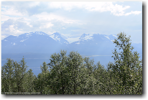 blick auf den alemusjaure und die schneeberge vom wanderweg bei ritsem im stora sjoefallets nationalpark