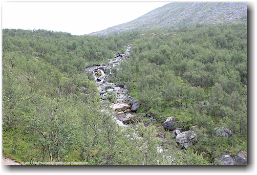 karnjelajakka entlang des kungsleden im stora sjoefallets nationalpark