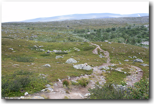 kungsleden bei karnjelajakka im stora sjoefallets nationalpark