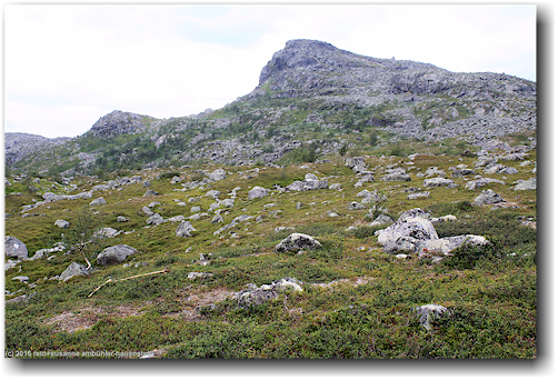 felskuppen entlang des kungsleden auf dem fjaell bei karnjelajakka im stora sjoefallets nationalpark