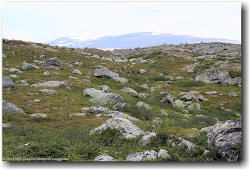 kungsleden durch die hochebene bei karnjelajakka im stora sjoefallets nationalpark