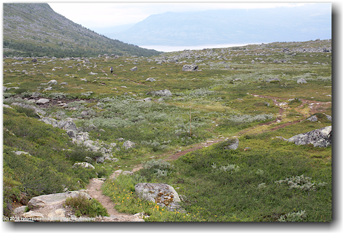 kungsleden durch die hochebene bei karnjelajakka im stora sjoefallets nationalpark