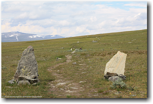 markierungen entlang des kungsleden bei lapsejakka im stora sjoefallets nationalpark
