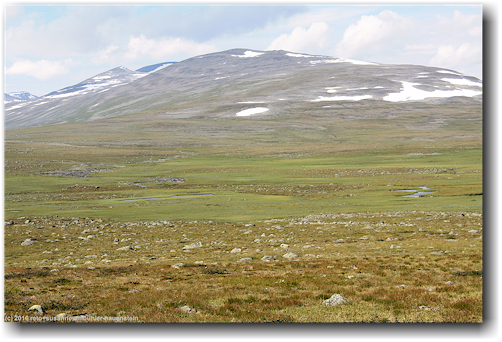 hochebene und huegelzug entlang des kungsleden bei lapsejakka im stora sjoefallets nationalpark