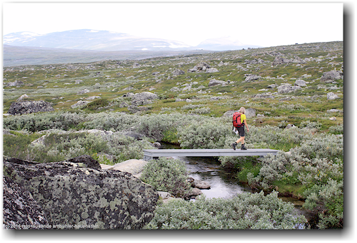 bruecke ueber den rassejakka entlang des kungsleden im stora sjoefallets nationalpark