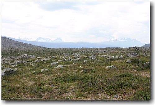hochebene entlang des kungsleden bei karnjelajakka im stora sjoefallets nationalpark