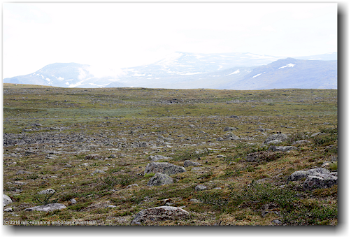 hochebene und bergkette entlang des kungsleden bei rassejakka im stora sjoefallets nationalpark