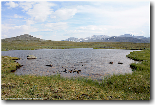 kleiner bergsee am kungsleden bei rassejakka im stora sjoefallets nationalpark