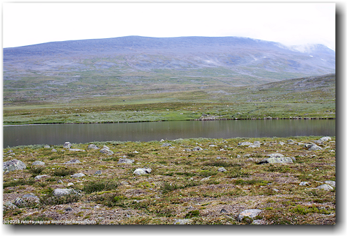 kleiner bergsee am kungsleden bei rassejakka im stora sjoefallets nationalpark