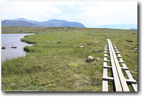 steg entlang eines kleinen bergsees am kungsleden bei rassejakka im stora sjoefallets nationalpark