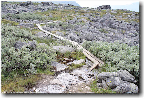 steg entlang des kungsleden bei rassejakka im stora sjoefallets nationalpark