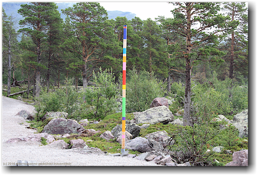 pfahl beim naturum im stora sjoefallets nationalpark