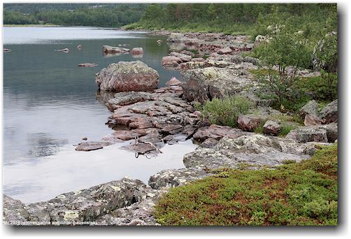ufer des tsoagesluokta beim naturum im stora sjoefallets nationalpark