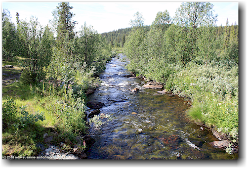 blick von der bruecke auf den njakajakka flussabwaerts