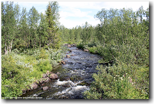 blick von der bruecke auf den njakajakka flussaufwaerts