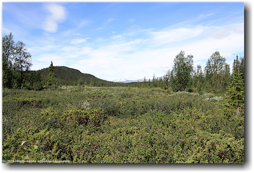 kungsleden durch die hochebene entlang des njakajakka