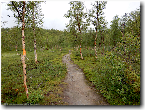 kungsleden oberhalb hemavan