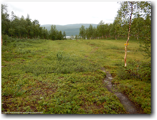 kungsleden oberhalb hemavan mit blick auf den ahasjoen
