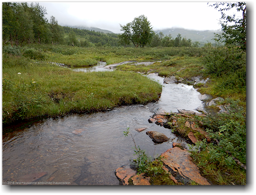 bach entlang des kungsleden oberhalb hemavan