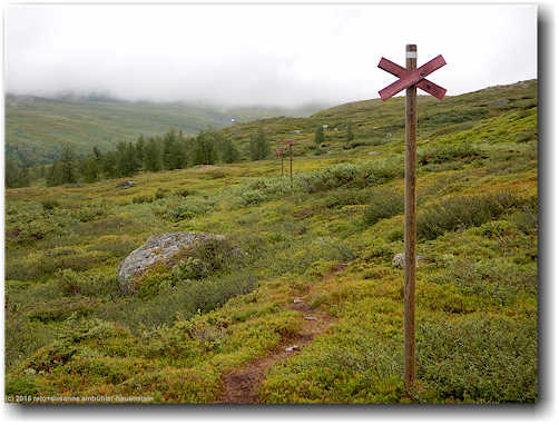 kungsleden zwischen hemavan und dem vaester syterbaecken