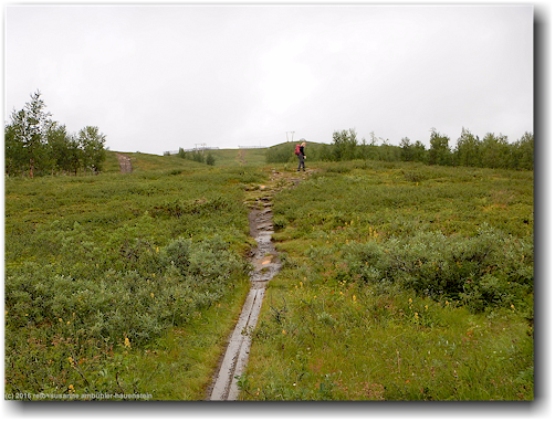 steg entlang des kungsleden oberhalb hemavan