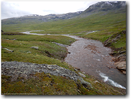 tal des vaester syterbaecken - baumloses hochtal