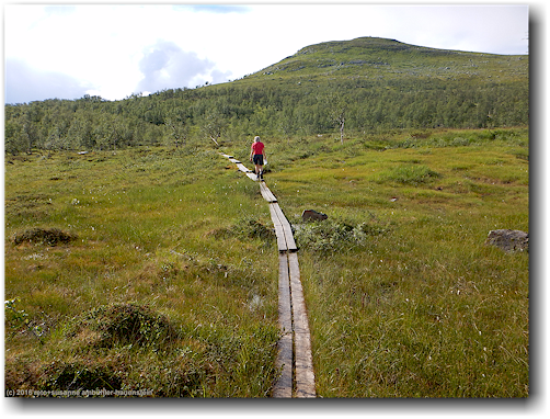 stege entlang des kungsleden unterhalb der stokkeklippen