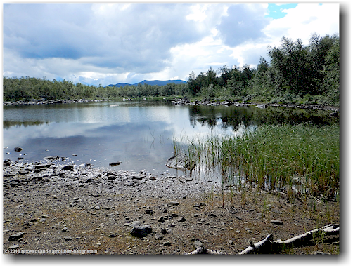 uferlandschaft in der naehe des suedlichen ende des taernasjoen