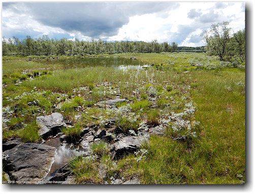uferlandschaft zwischen der ersten und der zweiten bruecke in der inselkette im suedlichen taernasjoen