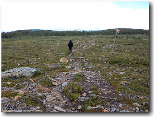 kungsleden nahe des ostufers des suedlichen taernasjoen
