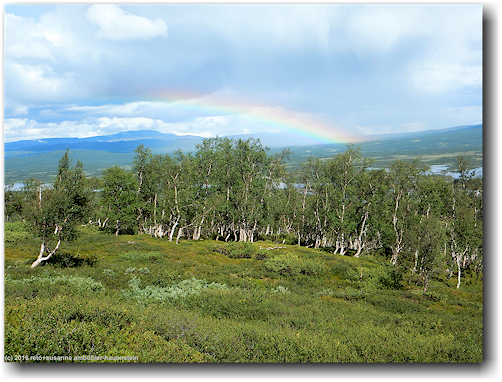regenbogen ueber dem taernasjoen