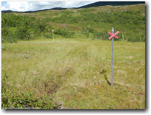 sumpfiger wanderweg