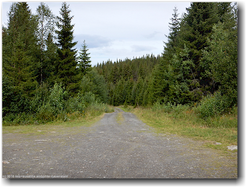 oeverkonaes bei lillavallen