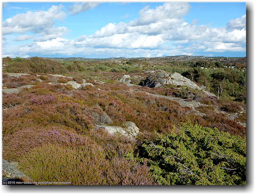 felskuppe hinter dem stockens camping