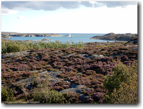 blick von der felskuppe hinter dem stockens camping auf den kattevik