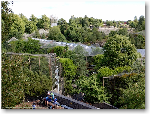 blick vom aussichtsturm im korkeasaari zoo in helsinki auf das zoogelaende